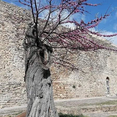 New Life Apartamento Alghero